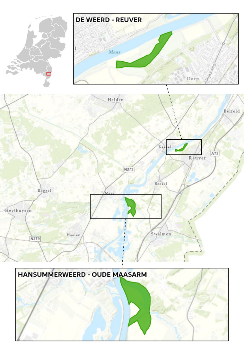 Bericht Meedenken over ecologische plannen langs de Maas tussen Ohé en Laak en Reuver bekijken